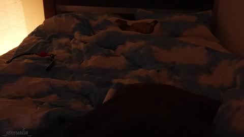 Lia online show from September 9, 2025, 6:07 pm