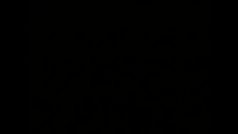 Melisa online show from January 4, 2025, 10:05 am