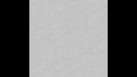 _tammarra_ online show from January 16, 2026, 12:31 pm