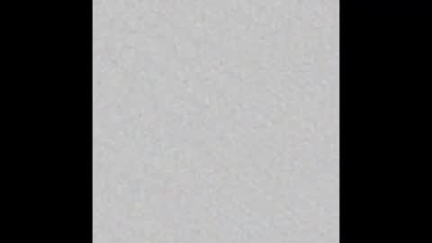 _tammarra_ online show from February 19, 2026, 4:03 pm