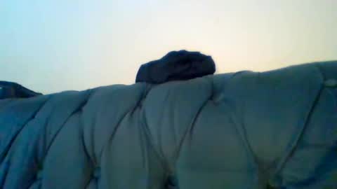 Snapshot of _zawadi chatting on February 1, 2025, 5:47 pm Zawadi online show from February 1, 2025, 5:47 pm
