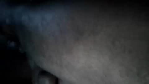 A2Please online show from September 15, 2025, 2:06 pm