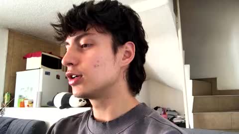 a littlee bear online show from November 11, 2025, 12:16 pm