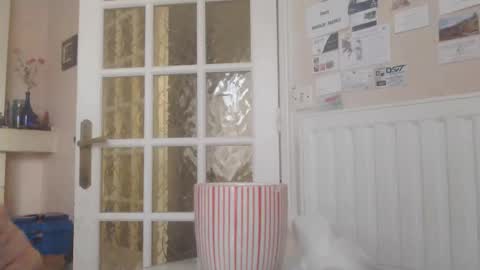 Aalex1717 online show from January 14, 2026, 8:53 am