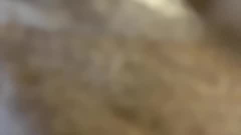 ABBY online show from December 3, 2024, 10:50 am