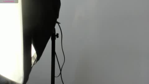 Abigail online show from November 14, 2025, 11:20 am