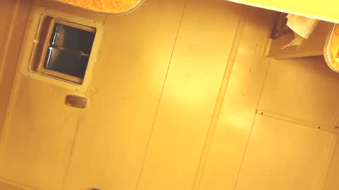 acassiecakes online show from July 9, 2026, 11:58 am