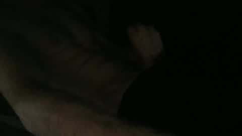 acid_lab online show from November 17, 2025, 11:43 pm