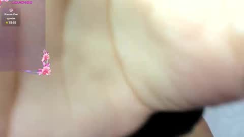 Snapshot of adams_niki chatting on November 3, 2025, 12:39 pm ADAMS Y NIKI online show from November 3, 2025, 12:39 pm