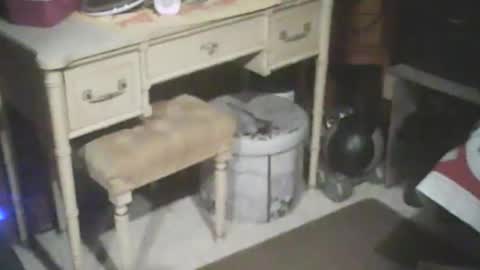 adamsny online show from January 15, 2025, 8:30 am