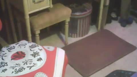 adamsny online show from February 13, 2025, 8:17 am