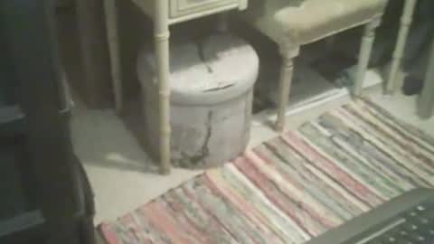 adamsny online show from November 4, 2025, 8:46 am