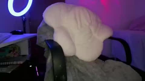 Adara online show from February 5, 2026, 9:08 pm