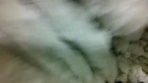 adelealy online show from July 30, 2026, 1:26 am