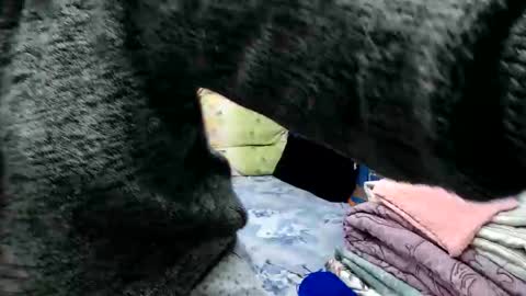 Snapshot of adelineblueeyes chatting on November 15, 2025, 11:29 am Larisa online show from November 15, 2025, 11:29 am