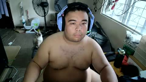 AFilamBear online show from August 1, 2026, 11:25 pm