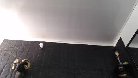  Miss Agata  online show from February 5, 2026, 5:28 pm