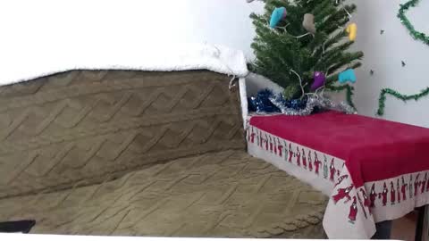 Agatha online show from January 4, 2025, 3:39 pm