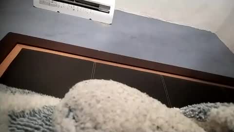 Snapshot of airoon91 chatting on November 16, 2025, 5:24 am airoon91 online show from November 16, 2025, 5:24 am