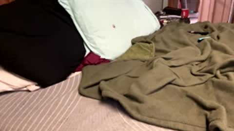 ajb5187517 online show from January 5, 2026, 5:49 pm