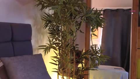 alaiaaddict online show from February 4, 2026, 9:09 pm