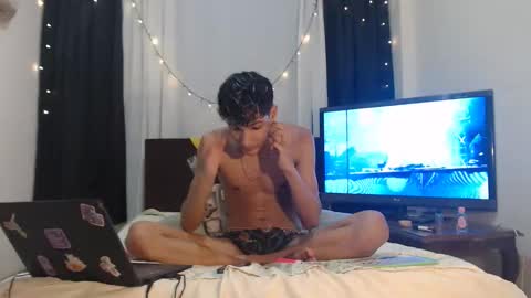 Snapshot of alan048 chatting on April 30, 2026, 8:57 pm ALAN online show from April 30, 2026, 8:57 pm