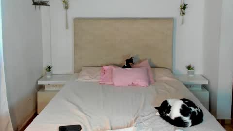 Snapshot of alana__get chatting on March 20, 2026, 2:22 pm online show from March 20, 2026, 2:22 pm