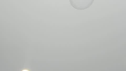 Alanna  online show from March 23, 2026, 3:54 am