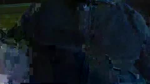 albert29 online show from November 3, 2025, 8:59 am