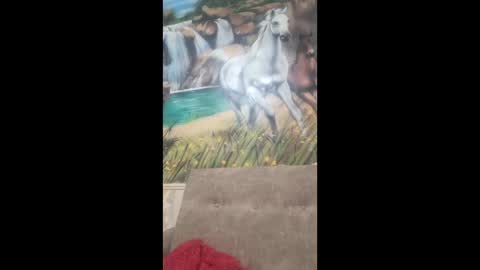 albina online show from February 9, 2026, 8:40 am