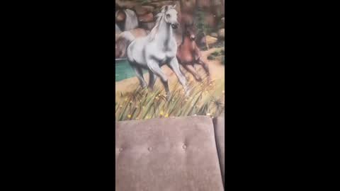 albina online show from February 13, 2026, 9:49 am