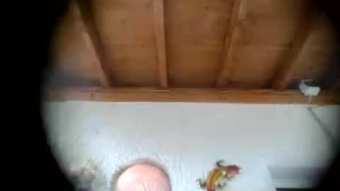 Alebrusa online show from July 16, 2026, 3:51 pm