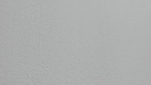 Alejandra online show from October 5, 2025, 1:31 pm