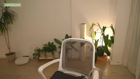 Ale online show from April 12, 2026, 11:10 pm