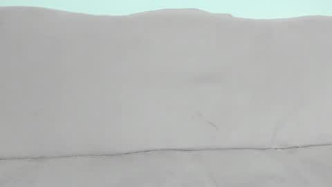 Ale online show from January 25, 2025, 12:16 pm