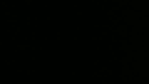 alex online show from December 26, 2024, 10:26 am