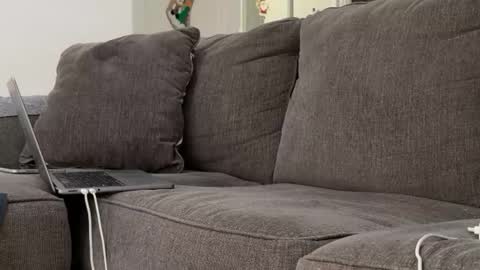 Alex online show from November 3, 2025, 6:53 pm