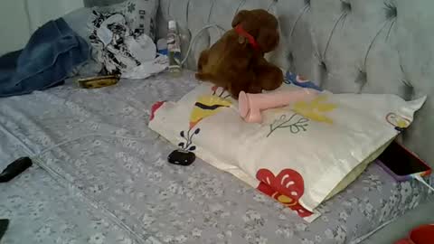 Snapshot of alexa_foxxie chatting on February 16, 2025, 3:05 pm Alexa online show from February 16, 2025, 3:05 pm