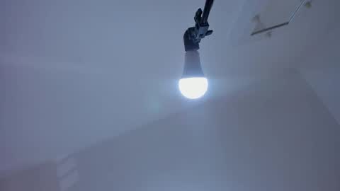 Alexa  online show from December 3, 2024, 7:44 pm