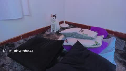 alexa_will online show from March 31, 2026, 2:13 am