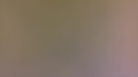 Snapshot of alexfan141 chatting on October 31, 2025, 4:41 pm alexfan141 online show from October 31, 2025, 4:41 pm