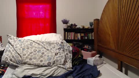 Snapshot of alexisandtherest chatting on February 25, 2025, 3:05 pm Alexis online show from February 25, 2025, 3:05 pm