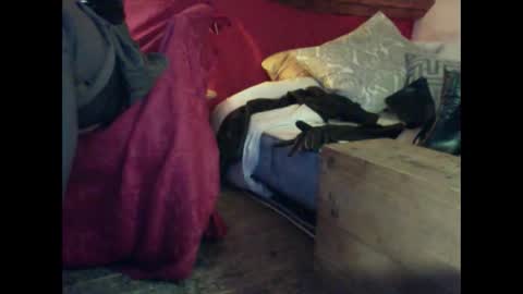 alexischat online show from September 25, 2025, 4:16 am