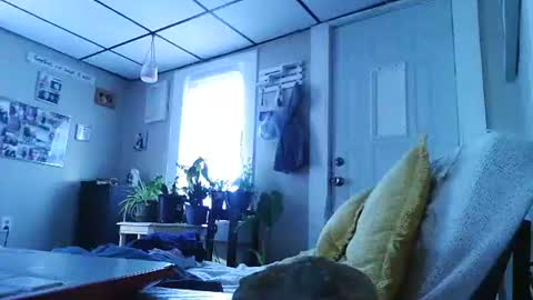 Snapshot of ali_tayler chatting on November 8, 2025, 1:44 pm ali_tayler online show from November 8, 2025, 1:44 pm