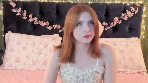 Alice 3 online show from May 5, 2026, 11:18 am