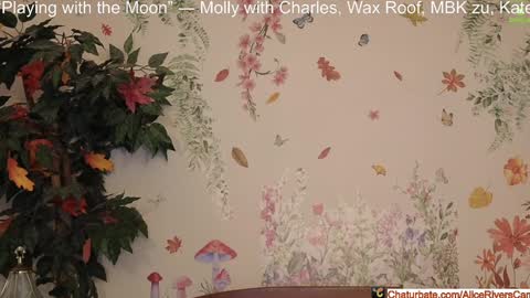Snapshot of aliceriverscam chatting on January 10, 2025, 9:31 pm Alice Rivers ---- Enter my public Discord- online show from January 10, 2025, 9:31 pm