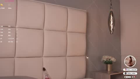 Snapshot of alisa_roldan chatting on February 12, 2025, 3:16 pm online show from February 12, 2025, 3:16 pm