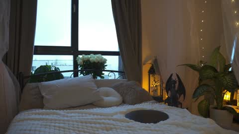 Alissa online show from January 13, 2025, 6:49 am