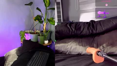 Snapshot of alisson_clare chatting on December 19, 2025, 11:12 pm A L I S S O N online show from December 19, 2025, 11:12 pm