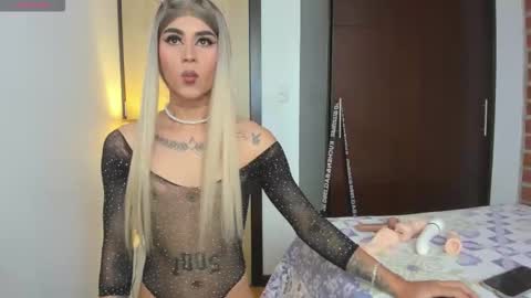 Snapshot of alissoondream_ chatting on February 19, 2026, 1:51 pm alisson online show from February 19, 2026, 1:51 pm